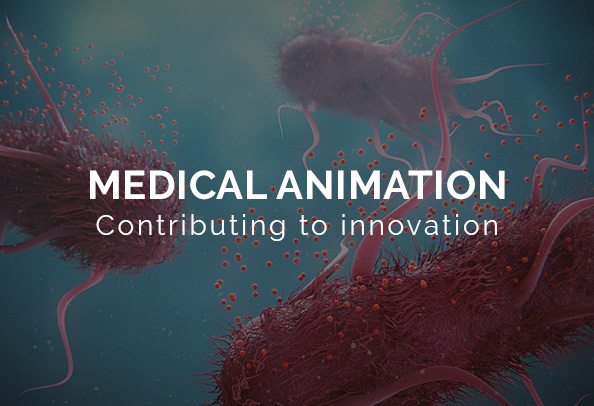 Ensuring scientific accuracy in medical animation | Random42