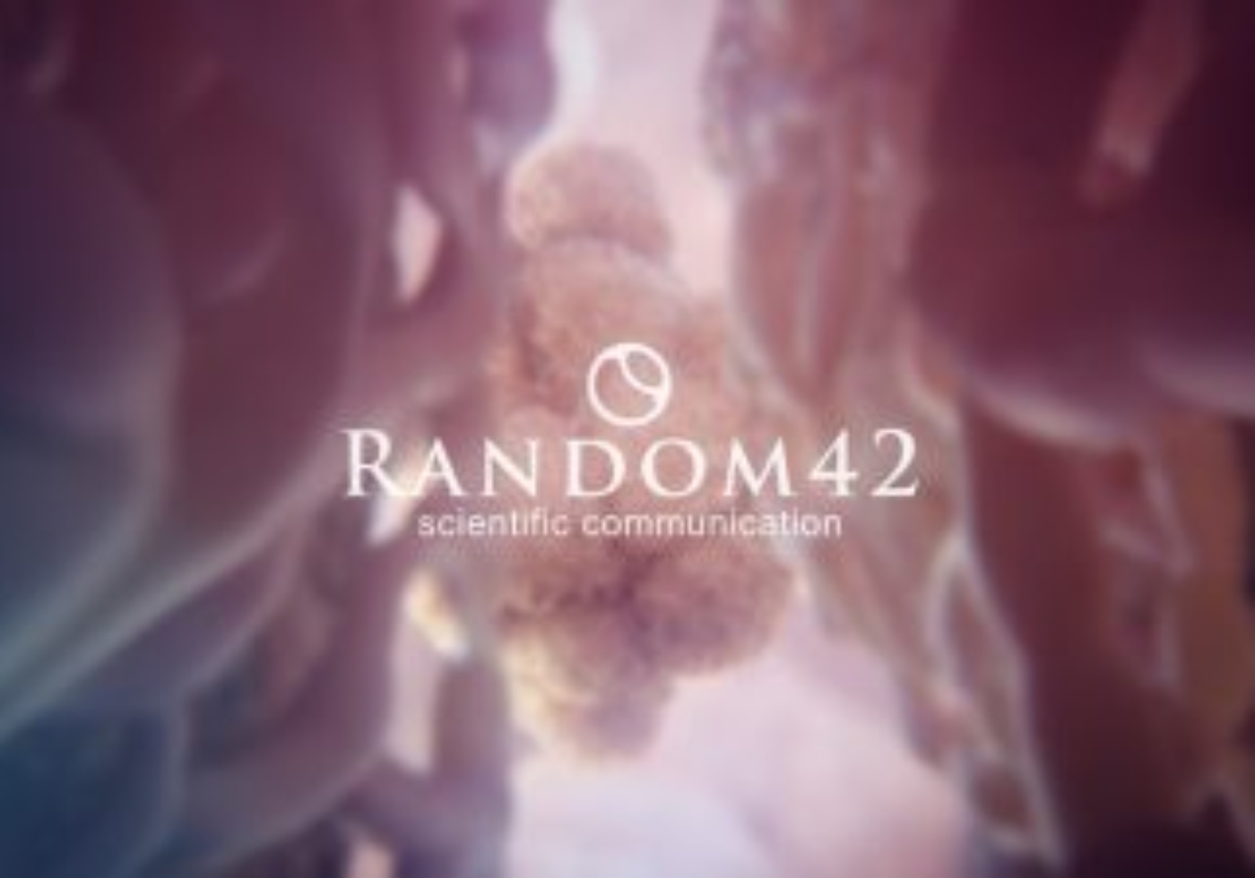 Random42 Logo