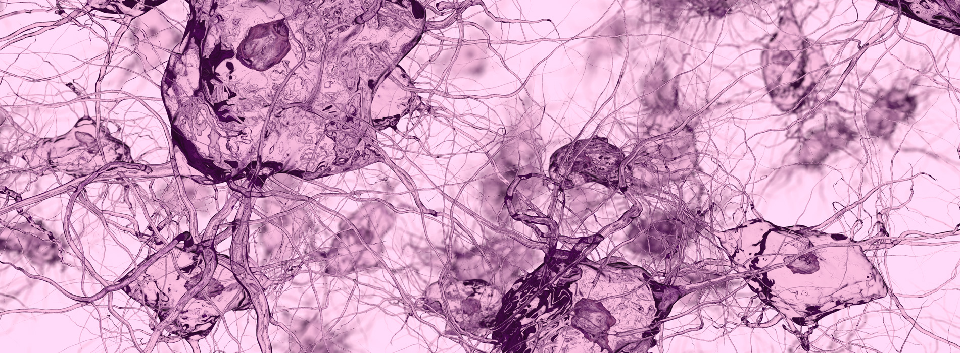 3D model of osteocytes designed by Random42