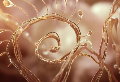 3D model of a plant designed by Random42