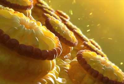 3D model of sea life designed by Random42