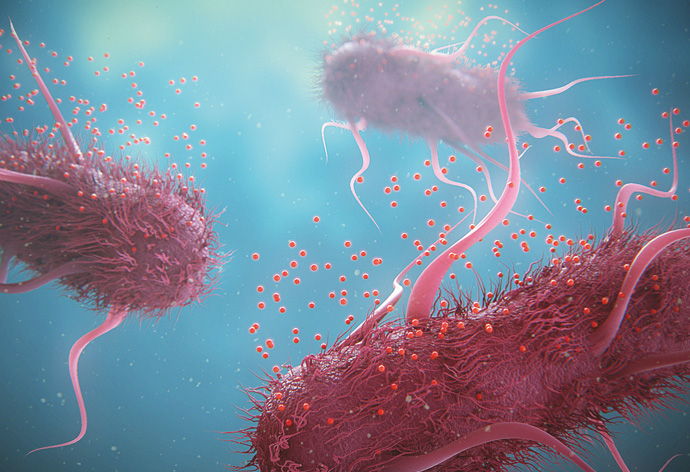 3D model of bacteria designed by Random42