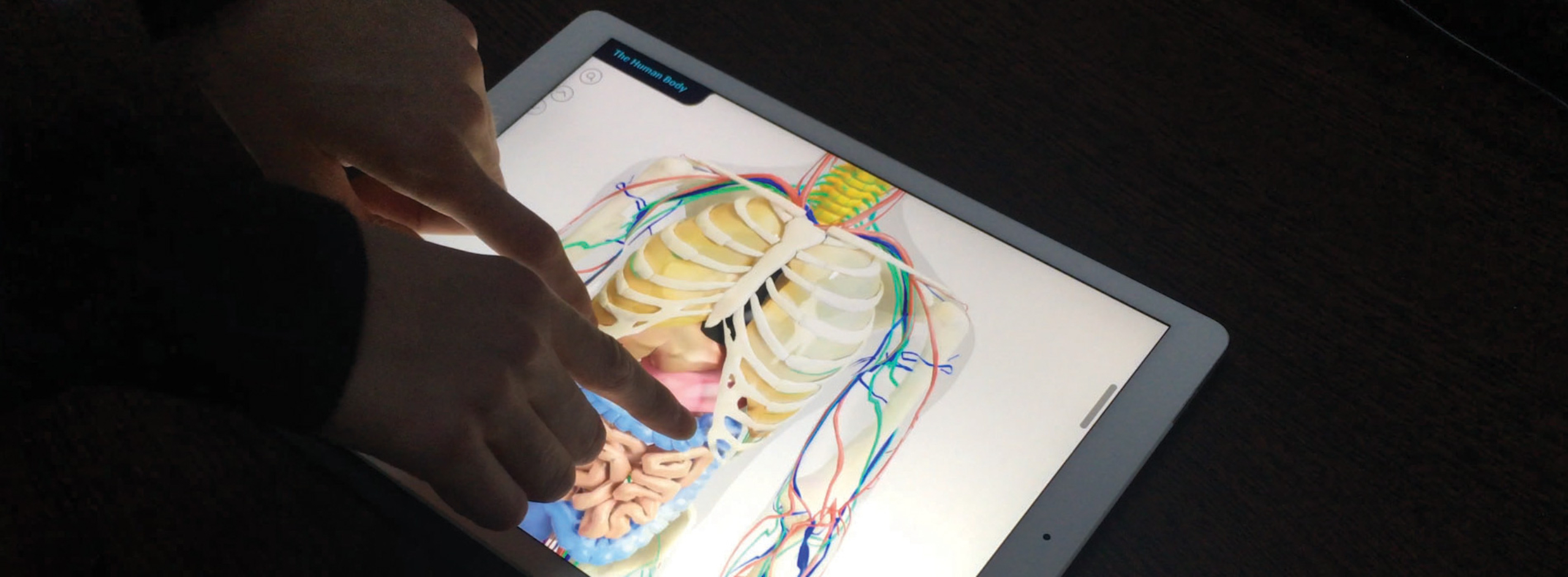 Interactive human body app designed by Random42