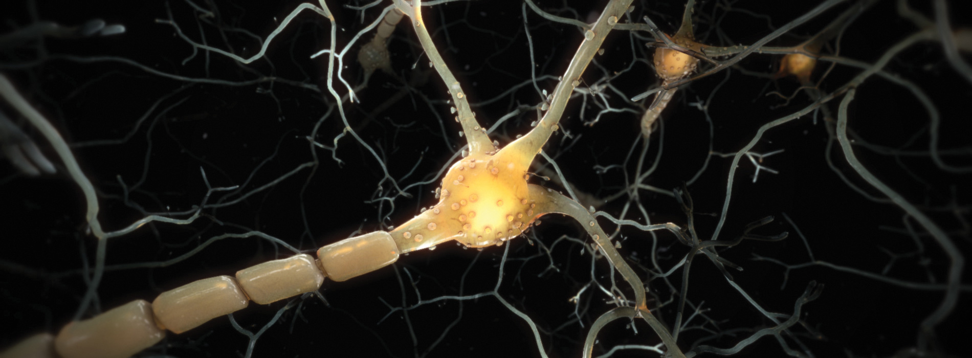 Virtual reality neuron experience designed by Random42