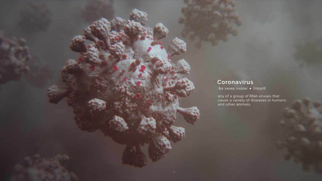 3D model of corona virus designed by Random42