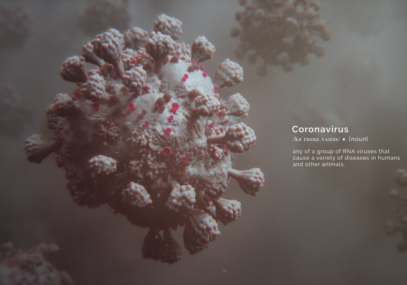 3D model of corona virus designed by Random42