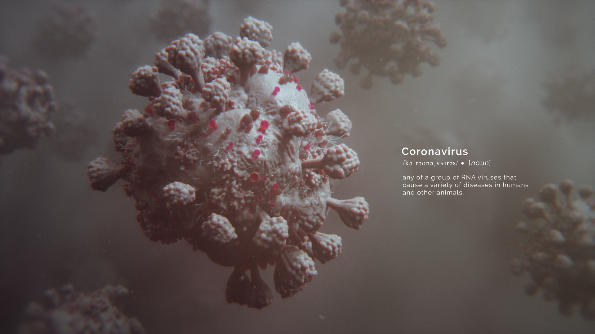 Coronavirus_2020_web Coronavirus animation