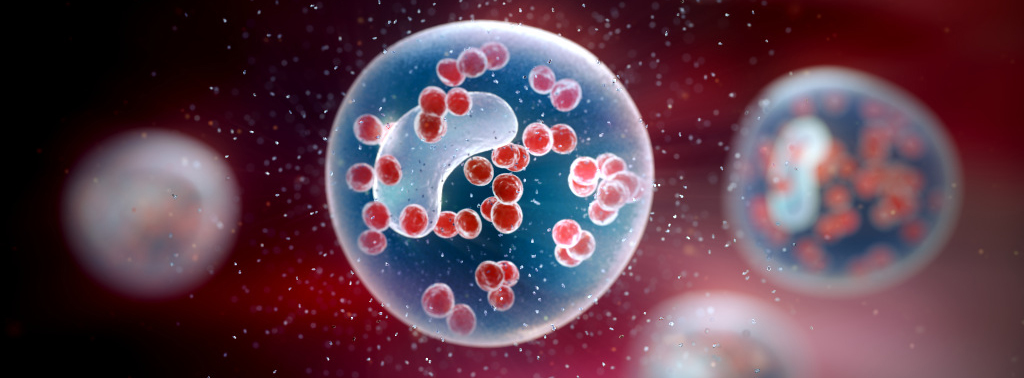 Animal_Health_Allergy_Animation Animal Health Animation