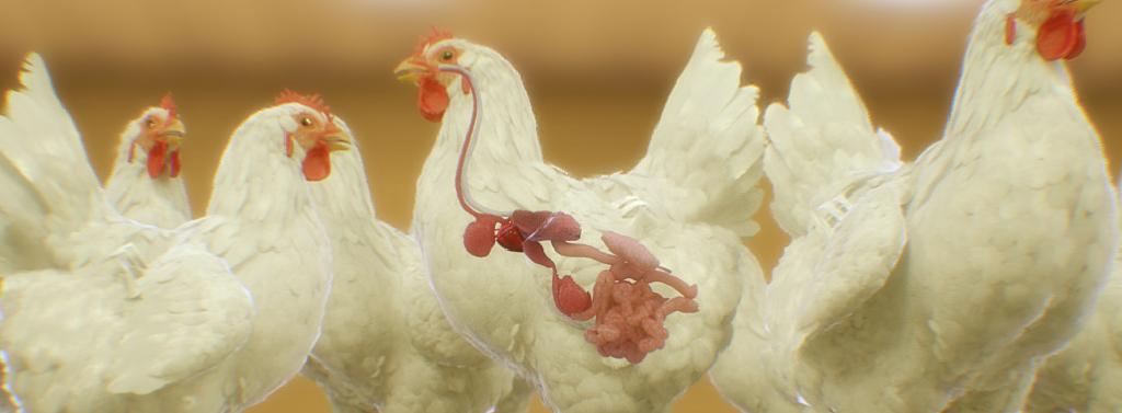 Animal_feed_animation Animal health scientific animation