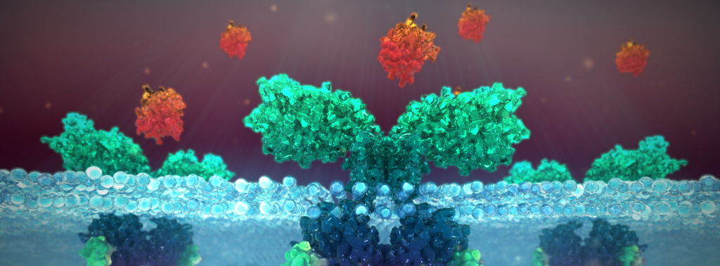 Animal-medical-animation Animal health medical animation