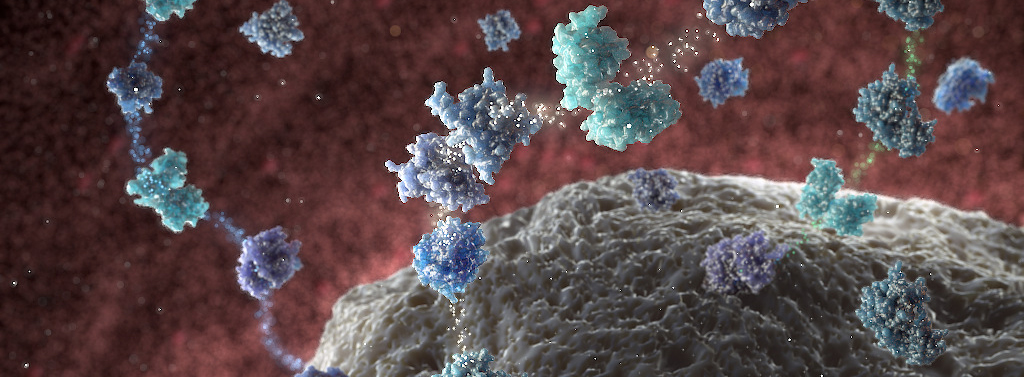 Medical Device Animation | Random42 Scientific Communication Medical Device Animation | Random42 Scientific Communication