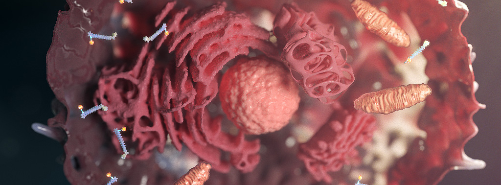Animation_Biotechnology Animation Biotechnology