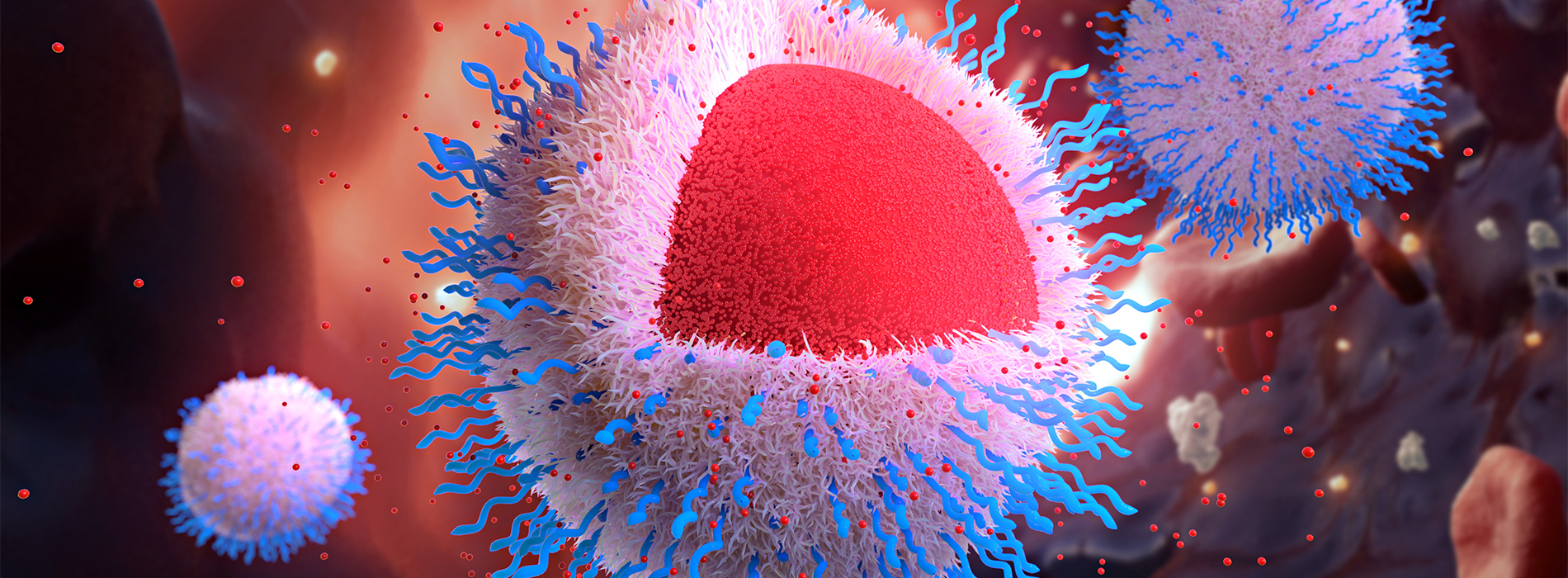 scientific-animation-random42 scientific-animation-random42