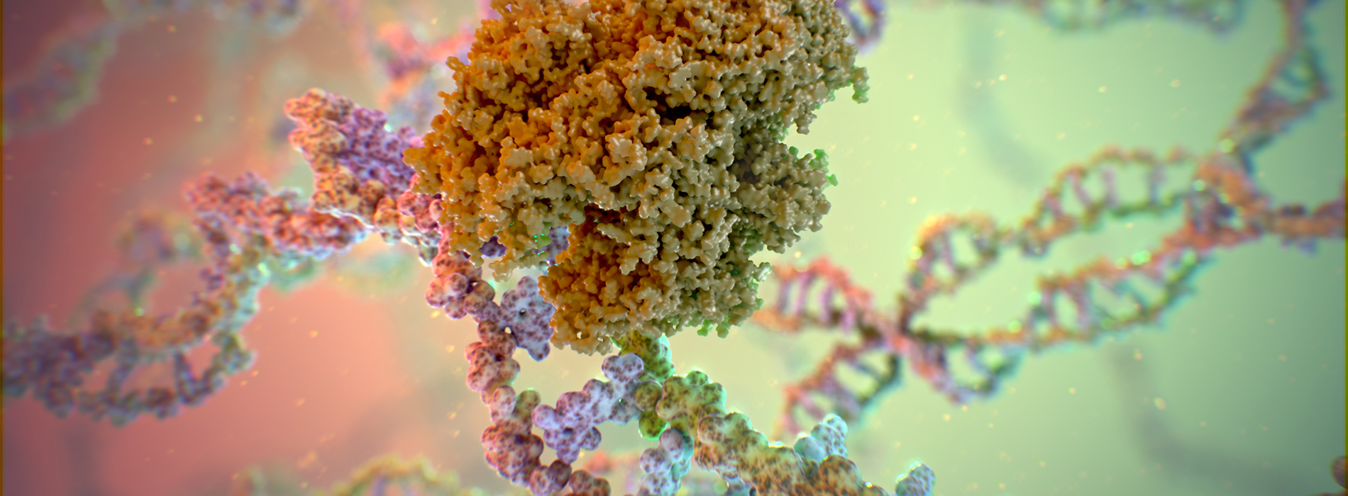 core-science-imagery Pharmaceutical animation