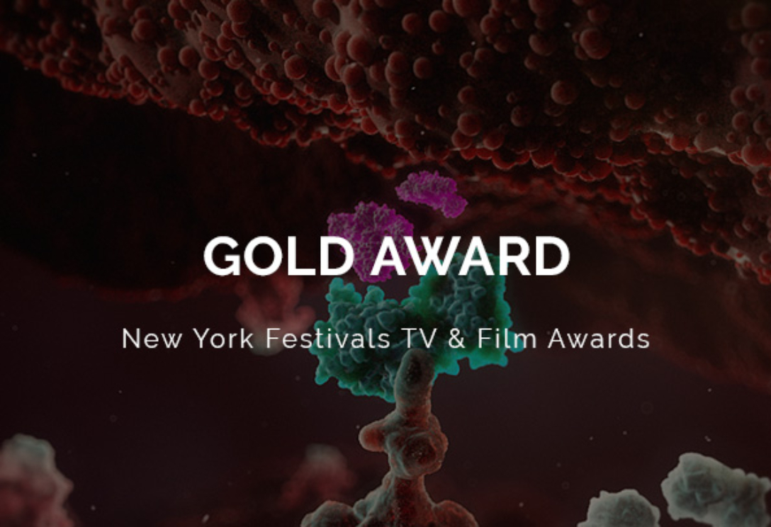 New York Festivals TV & Film Awards 2020