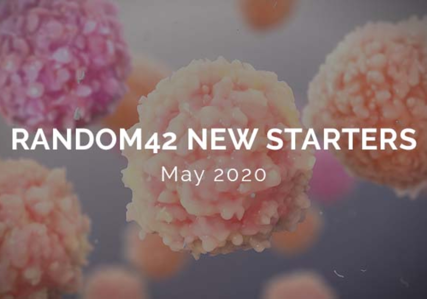 Random42 New Starters May 2020 Logo