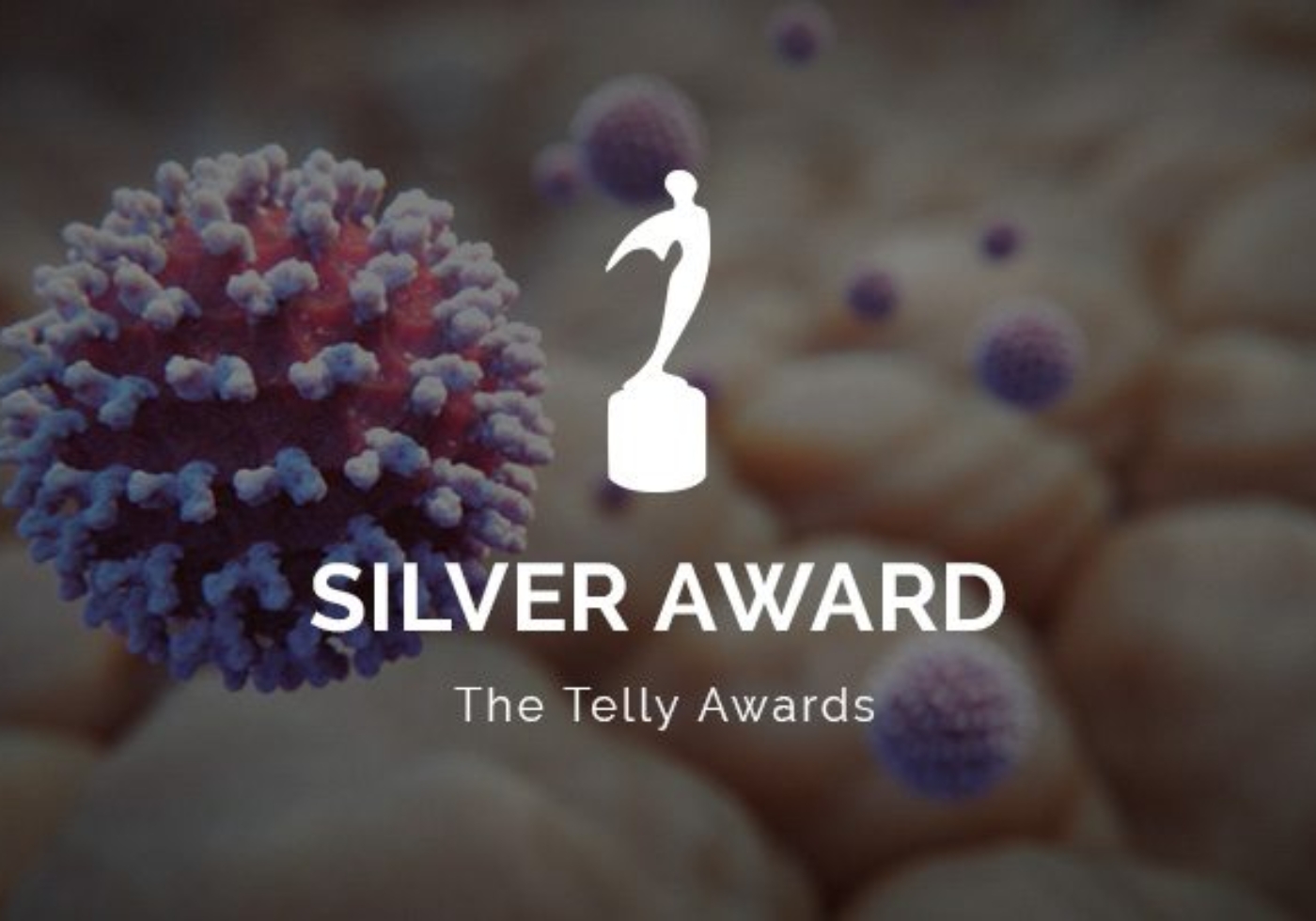 Telly Awards 2020 Silver Logo