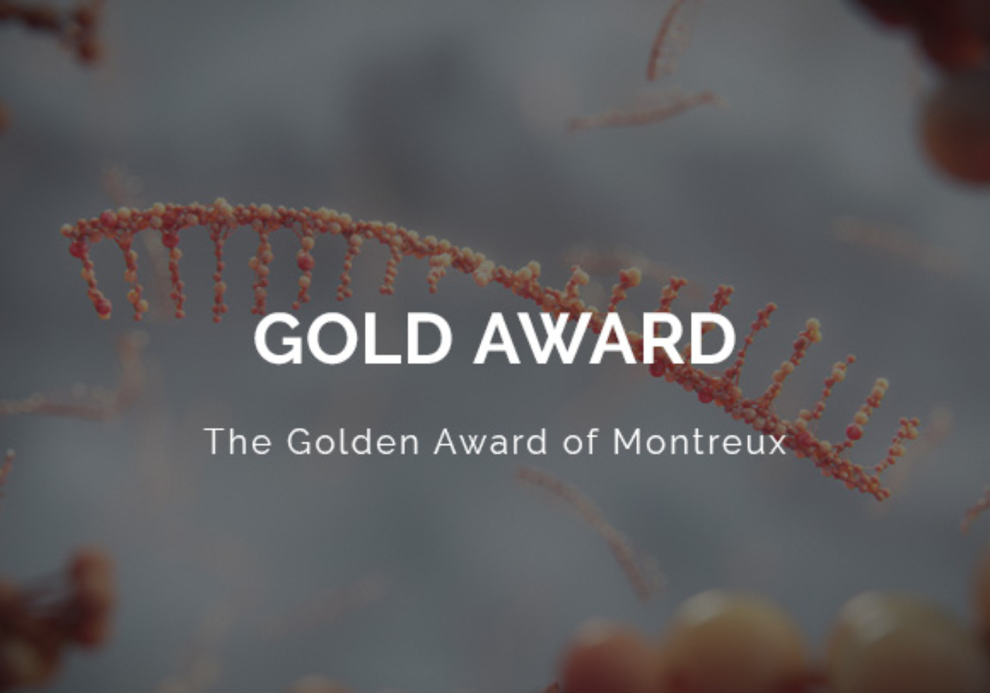 The Golden Award of Montreux Logo