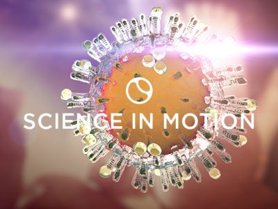 Zika Virus Science in Motion