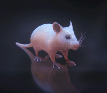 3D model of a mouse designed by Random42