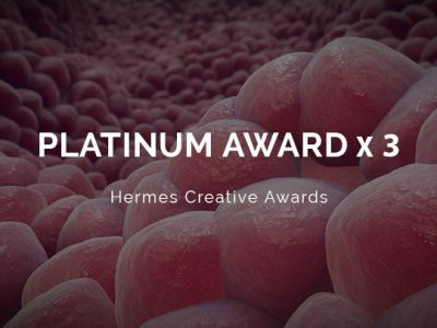 Hermes Creative Awards 2020