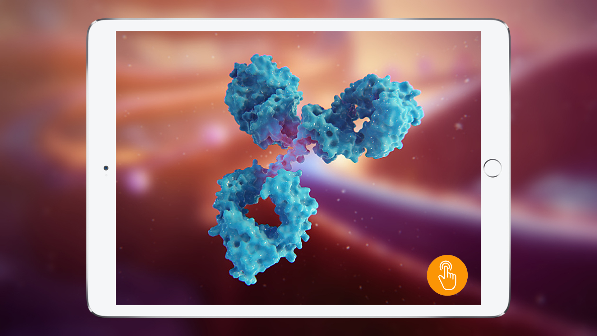 3D model of a molecule designed by Random42