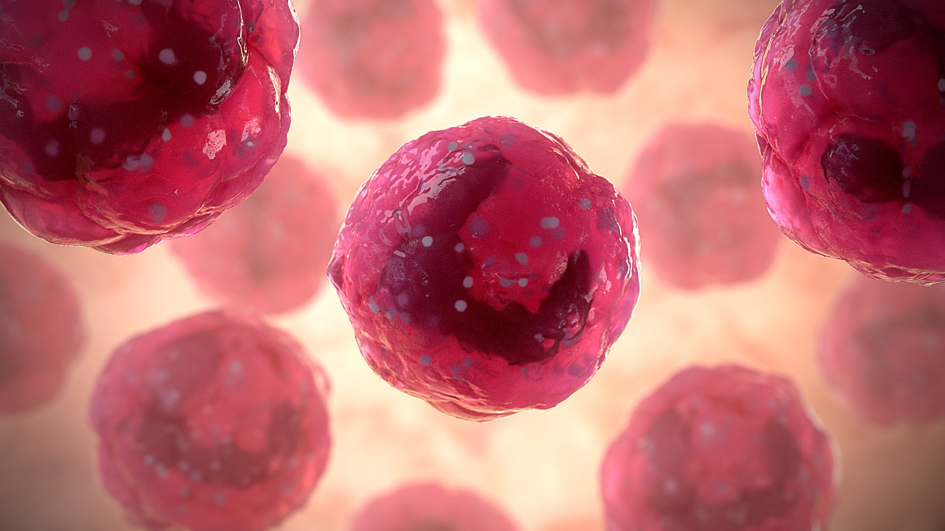 Leo-Neutrophil_Immune_Cells
