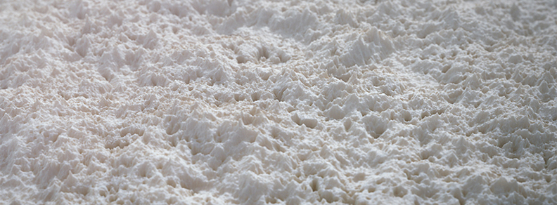 3D model of enamel repair designed by Random42