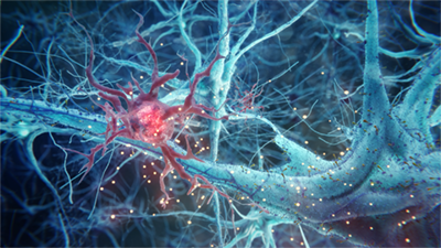 Neurons Scientific Animation