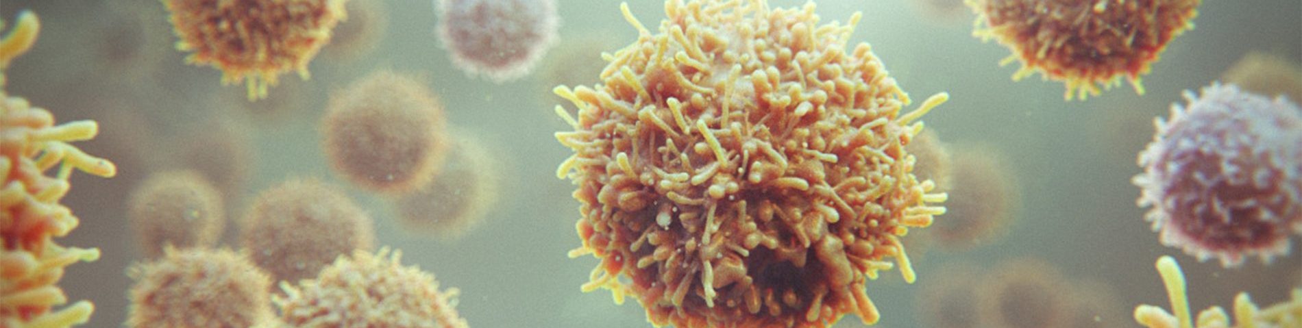 Cancer_Cells Cancer Cells