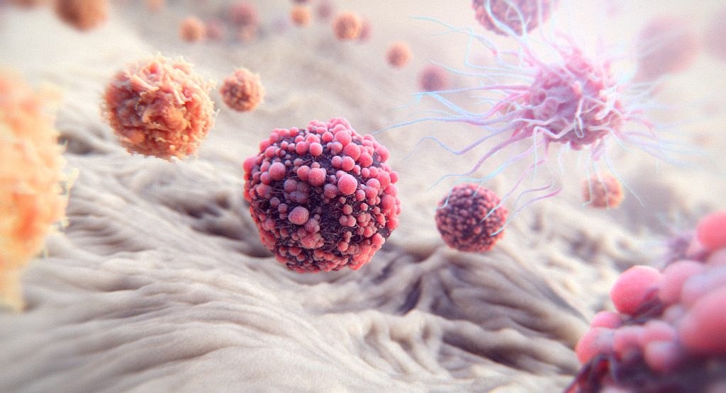 3D model of cells designed by Random42