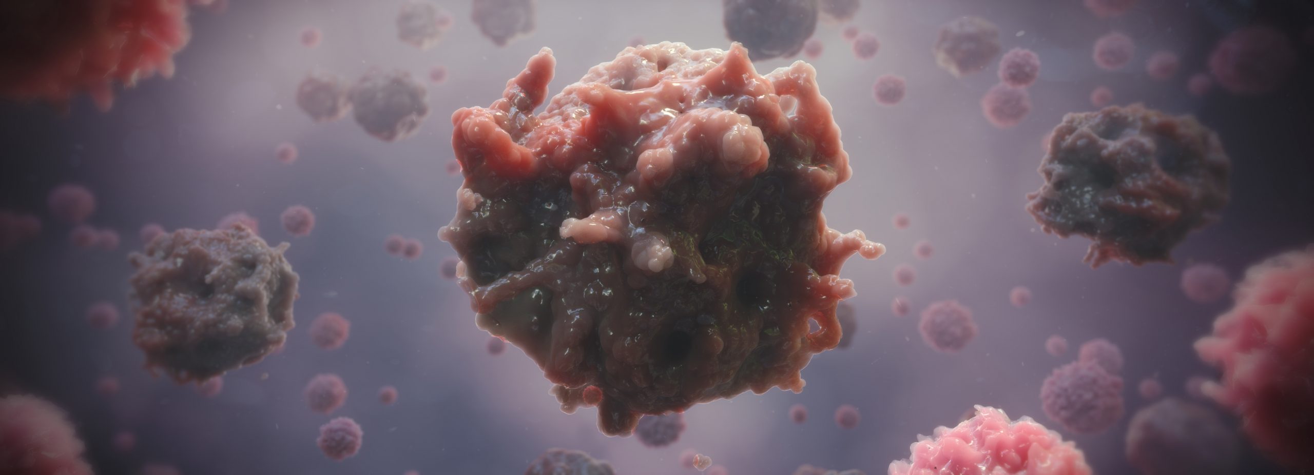 3D model of apoptosis designed by Random42