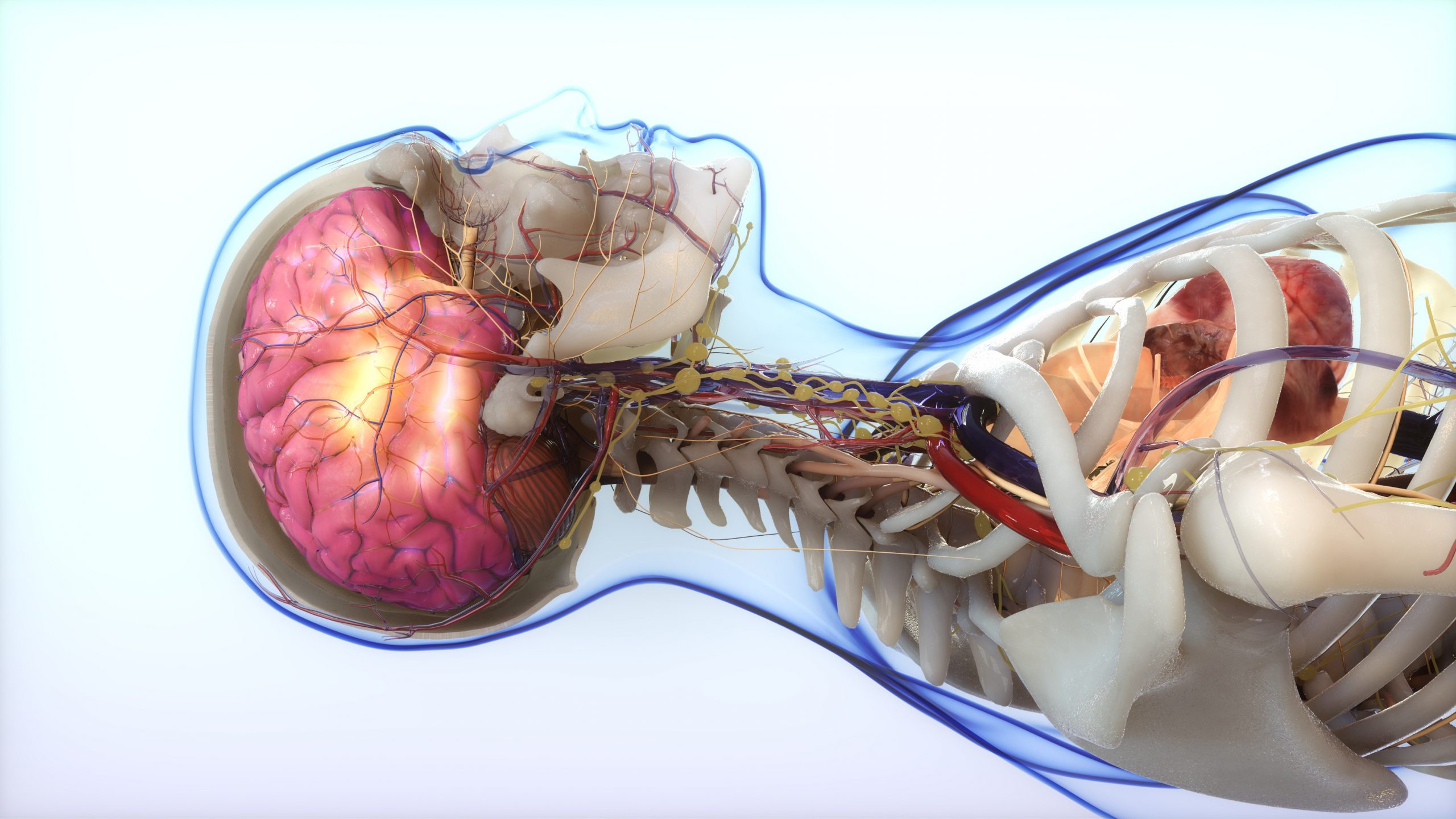 3D_Medical_Animation_Trends 3D Medical Animation Trends