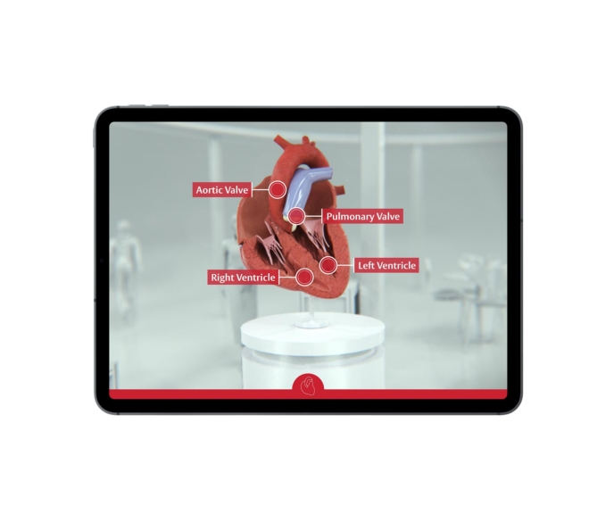 Cardiovascular Augmented Reality Experience