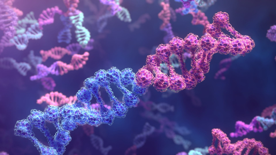 3D model of DNA designed by Random42