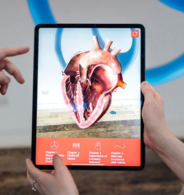 Augmented reality environment with 3D heart model designed by Random42