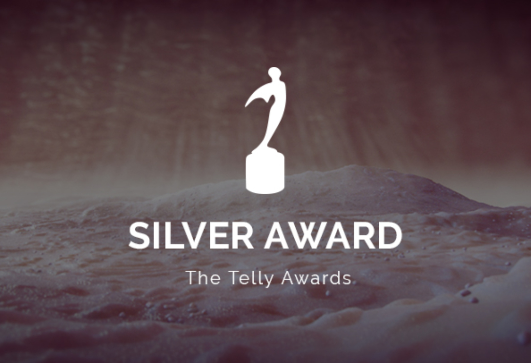 Telly Awards 2021 Silver Logo