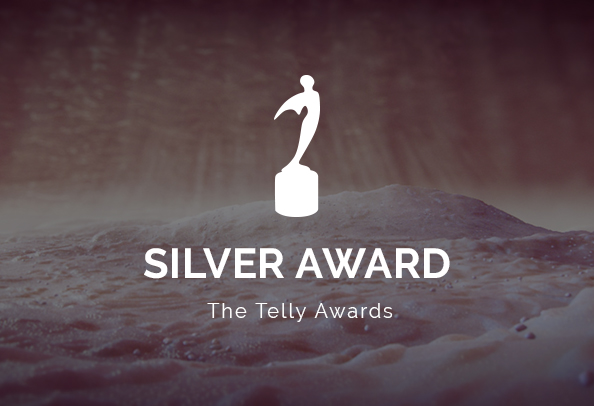 Telly Awards 2021 Silver