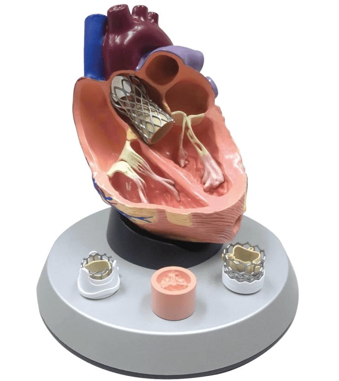 3D printed heart designed by Random42