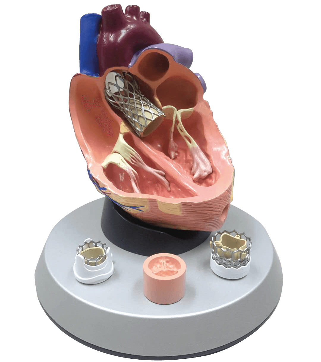 3D-Printed-Heart-AR-Booth 3D Printed Heart AR Booth
