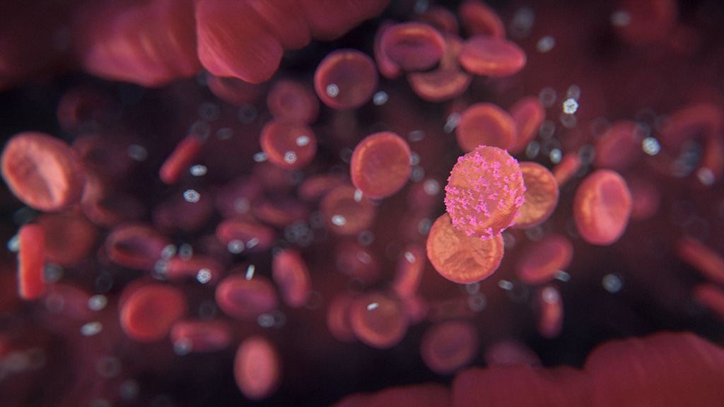 Hematology Hematology