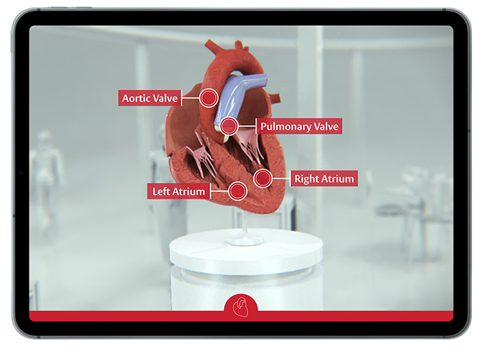 Augmented-Reality-Experience Augmented Reality Experience