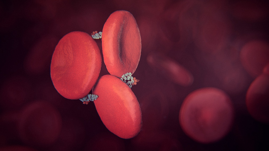 Red-Blood-Cells-Hematology Red Blood Cells Hematology