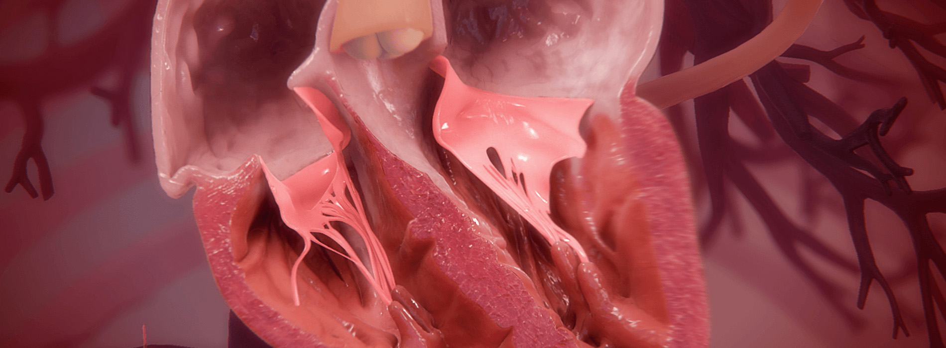 3D model of a heart designed by Random42