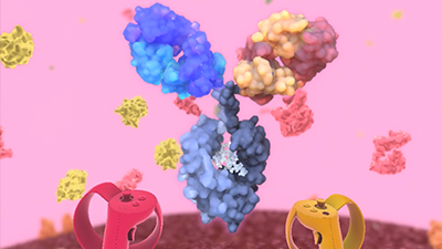 Ligand Binding VR App designed by Random42