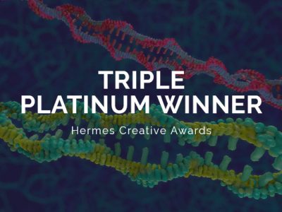 Hermes Creative Awards 2021