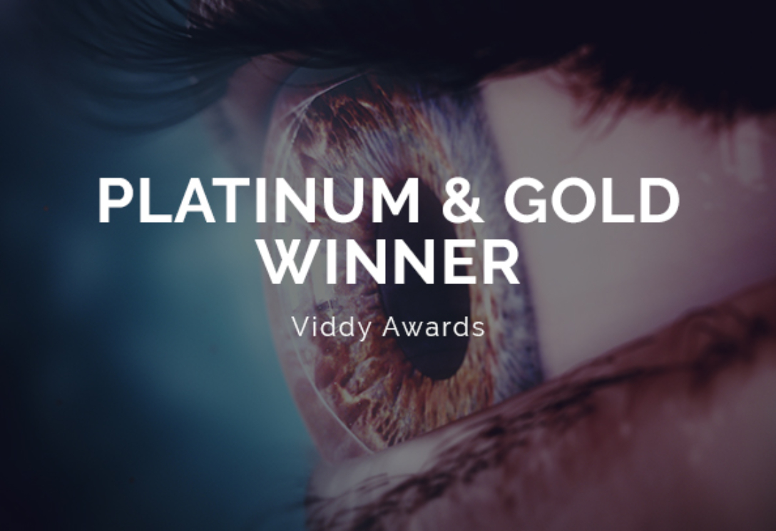 Viddy Awards 2021 Logo
