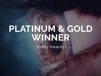 Viddy Awards 2021