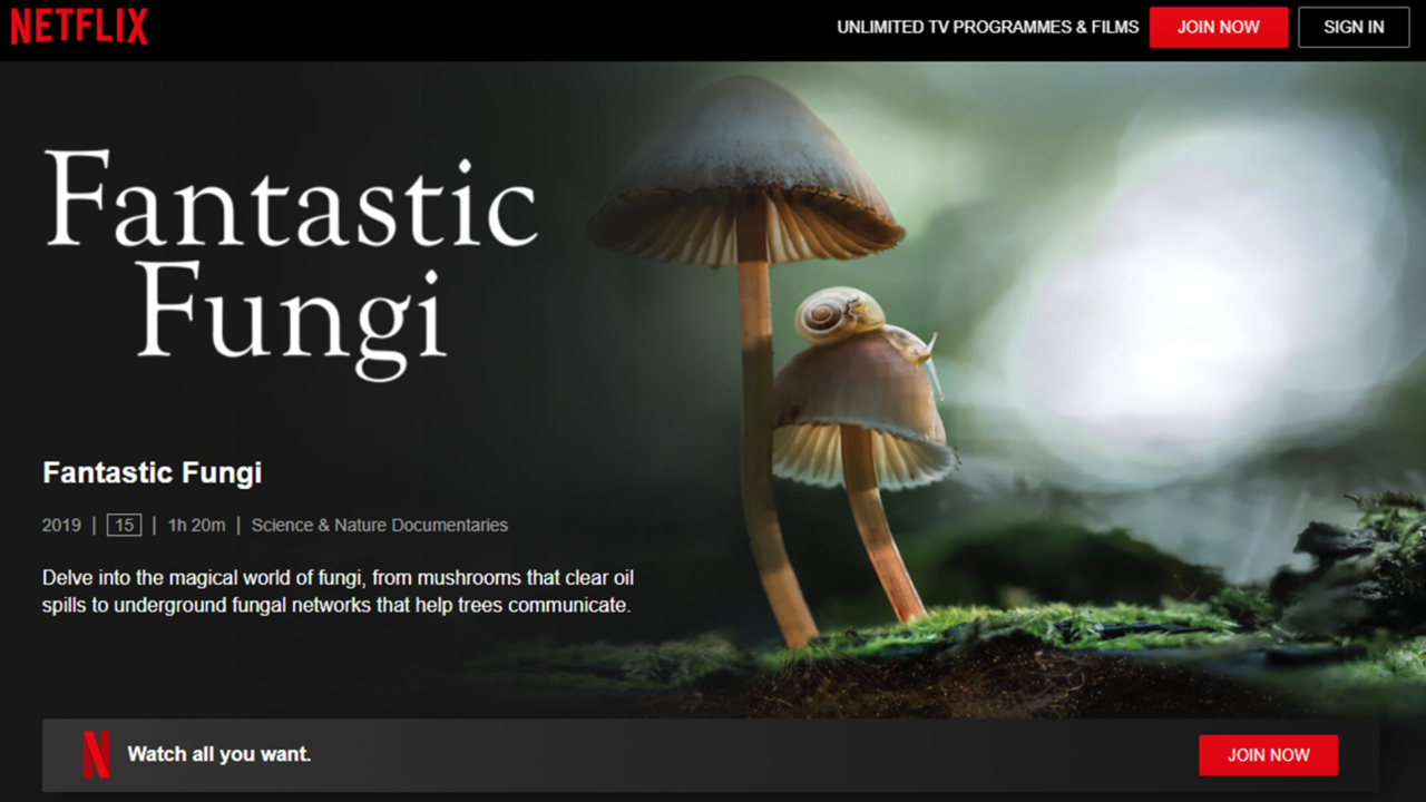 Random42 Fantastic Fungi Documentary Netflix credit screen