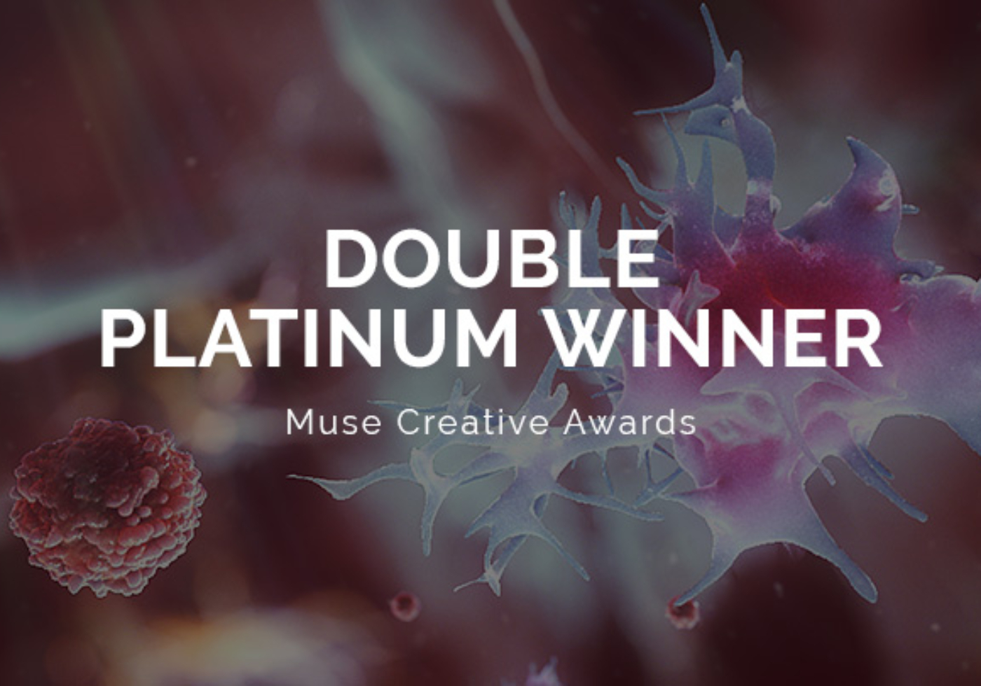 Muse Creative Awards 2021 Logo